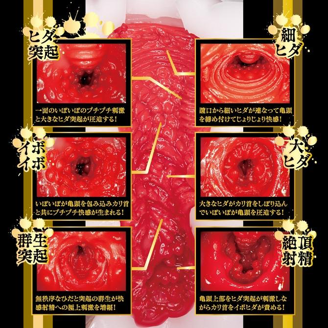 NPG - 貓耳娘2 監禁飼育 松本一香 (松本いちか) 430g