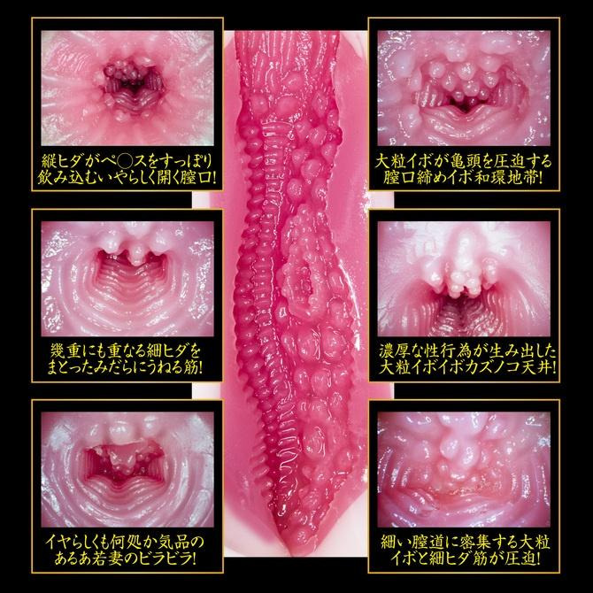 NPG - 2代目 完熟名器物語 募集若妻 葵司 (葵つかさ) 700g