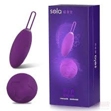 Sola遙控震動器